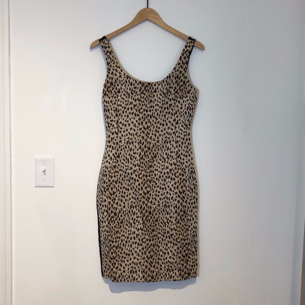 NWOT Diane Von Furtsenburg Leopard Dress Sx 4